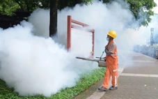 Trung Quốc, Singapore gia tăng ca bệnh Chikungunya, Việt Nam có đáng lo?