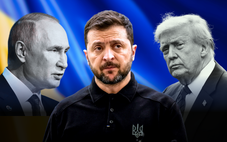 Nhà Trắng cân nhắc mời ông Zelensky đến cuộc gặp Trump - Putin tại Alaska