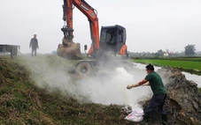 Gần 5.000 con heo mắc dịch tả chết, phải tiêu hủy