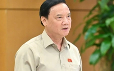 Phó chủ tịch Quốc hội: 'Lấy một giám đốc về làm vụ trưởng rất hay'