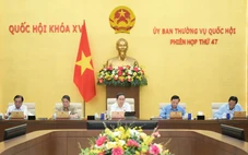 Tin tức sáng 11-8: Ủy ban Thường vụ Quốc hội họp, xem xét nhiều nội dung quan trọng