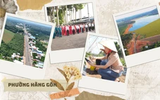 Hàng Gòn ‘chuyển mình’ - Khát vọng vươn xa