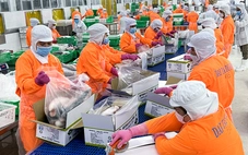 Từ chuyện Việt Nam nhập 'khủng' hạt dẻ cười, hạnh nhân từ Mỹ, bàn giải pháp thuế xuất khẩu