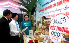 Phó bí thư Đồng Nai Tôn Ngọc Hạnh: Phường Đồng Xoài phải trở thành đô thị văn minh, nghĩa tình
