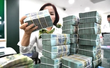 Những ngân hàng tư nhân nào đang dẫn đầu về nộp ngân sách?