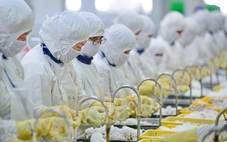 Xuất khẩu nông, thủy sản thắng lớn