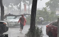 Hà Nội mưa to, cây đổ