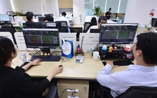 Lộ diện những cổ phiếu tăng giá 'sốc' đến hàng trăm %