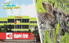 Điểm tin 8h: Mở thủ tục phá sản với Rạng Đông Holding; Thỏ 'zombie' mọc sừng xuất hiện ở Mỹ
