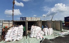 Philippines tạm ngưng nhập khẩu gạo: Doanh nghiệp cần lưu ý gì?