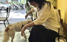Cấm thú cưng vào quán ăn là làm quá?