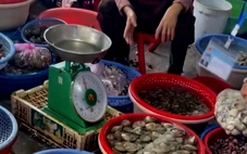 Đoàn kiểm tra nói gì về việc ‘cân gian, cân thiếu’ tại chợ Đồng Hới?
