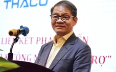 Thaco tái cấu trúc, ông Trần Bá Dương kiêm nhiệm tổng giám đốc