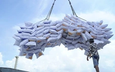 'Thần tốc' xuất khẩu gạo và xây dựng thương hiệu quốc gia để giữ vững vị trí thứ hai thế giới
