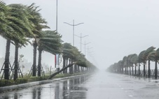 Biển Đông có thể đón thêm bão hoặc áp thấp nhiệt đới cuối tháng 8