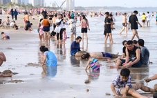 Đi lại dịp lễ 2-9: Máy bay khó đã có xe đò, xe tự lái
