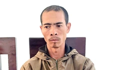 Chặt phá vườn cà phê của em vợ, anh rể nhận 2 năm 9 tháng tù