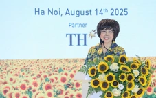 Mỗi ngày chậm trễ, giấc mơ nâng tầm vóc Việt thêm xa