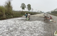 Sửa Luật Đất đai, khơi thông nguồn lực