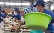 Thực hư video quay cảnh sản xuất thức ăn cho chó từ bìa carton?