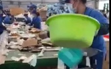 Thực hư video quay cảnh sản xuất thức ăn cho chó từ bìa carton?