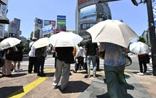 Nhật Bản: Bản đồ nhiệt 'dẫn lối' người dân Tokyo tránh nóng