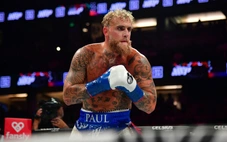 Đối thủ tiếp theo của YouTuber Jake Paul là nhà vô địch bất bại