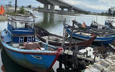 Chỉ đạo của Ban Bí thư về ứng phó với cơn bão số 5 (Kajiki)