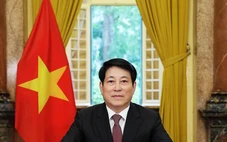 Ngoại giao Việt Nam - 80 năm xây dựng, trưởng thành cùng đất nước