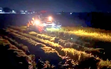 Nông dân Quảng Trị xuyên đêm gặt lúa ‘chạy’ bão số 5