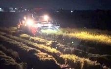 Nông dân Quảng Trị xuyên đêm gặt lúa ‘chạy’ bão số 5