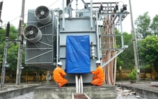 Trước cơn bão Kajiki đổ bộ, ngành điện khuyến cáo biện pháp an toàn, không để sự cố