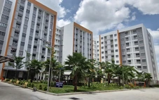 Cần Thơ công bố số điện thoại hỗ trợ cán bộ có nhu cầu mua nhà ở xã hội
