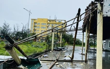 Nhà sập, cây đổ la liệt sau khi bão số 5 quần thảo