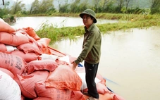 Kho thóc bị ngập sau bão số 5, chủ kho 'thất thần' vì thiệt hại tiền tỉ