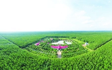 Tổng giám đốc VRG Lê Thanh Hưng: Chuyển đổi xanh là 'chìa khóa' vươn tầm thế giới