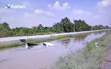 Bắt thanh niên Thái Lan dàn dựng 4 vụ tai nạn ô tô trục lợi bảo hiểm khoảng 811 triệu đồng