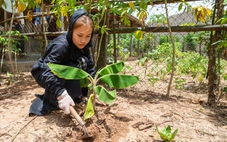 Tuổi Trẻ tạm ứng ngay cho nữ sinh Vân Kiều mồ côi cha mẹ, đậu cao đẳng nhưng chưa tìm ra học phí