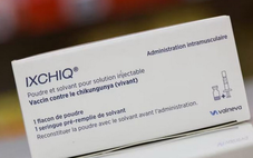 Mỹ bất ngờ đình chỉ lưu hành vắc xin phòng Chikungunya