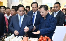 Việt Nam cơ bản xóa nhà tạm, nhà dột nát trên cả nước với hơn 330.000 căn, về đích sớm trước 5 năm