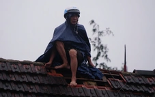 Gượng dậy sau bão dữ