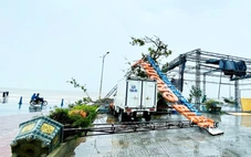 Bão số 5 có dị thường?