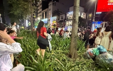 Càng đông vui, càng văn minh được không?