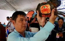 Cà Mau kỳ vọng gì ở 'con đặc sản' cua biển?