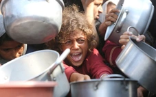 Khủng hoảng nhân đạo ở Gaza: Cành ô liu sẽ đến từ đâu?