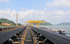 TKV vượt bão, giữ nhịp tăng trưởng