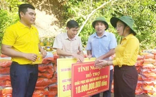 Nghệ An chi 317 tỉ đồng cho 35 xã khắc phục hậu quả mưa lũ