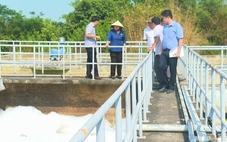 Tây Ninh xanh - Cho nền tảng phát triển bền vững