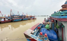 Nghệ An cấm biển trước bão Nongfa