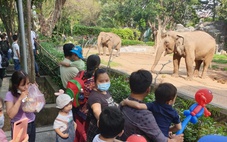 Vài vết muỗi đốt cũng đủ gây sốt xuất huyết, 5 mẹo đơn giản khi đi chơi, đi cắm trại cần biết
